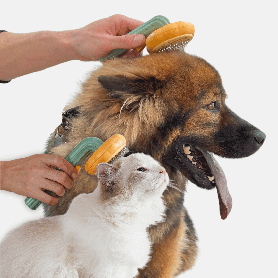 spazzola per animali domestici