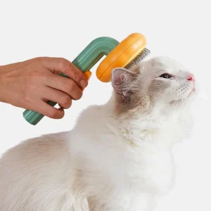 spazzola happy clio gatto