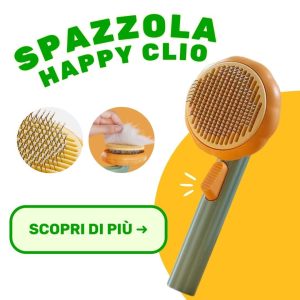 spazzola happy clio 2023 blog e1680261239512